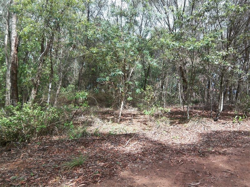 14 Azalea Street, Russell Island QLD 4184