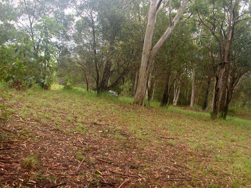 102 Avondale Road, Russell Island QLD 4184