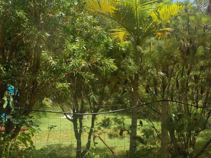 3B Manson Parade, Russell Island QLD 4184