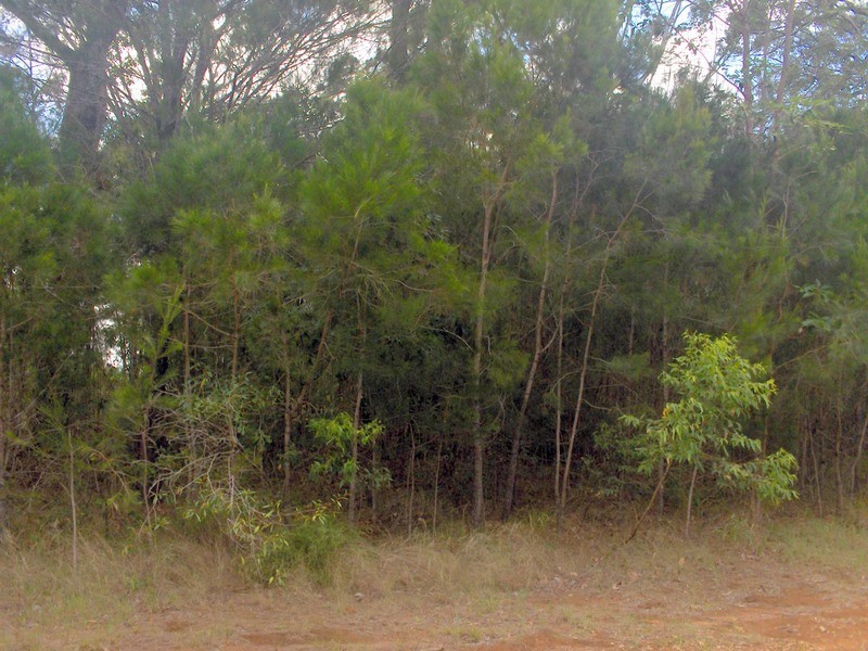 35 Channel Street, Russell Island QLD 4184