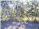 35 Stradbroke Drive, Russell Island QLD 4184