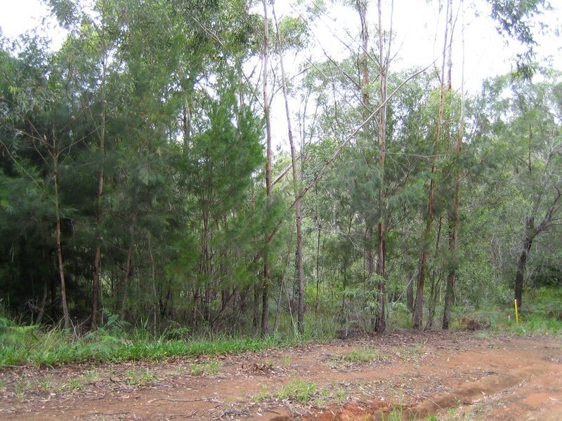 31 Catamaran Street, Russell Island QLD 4184