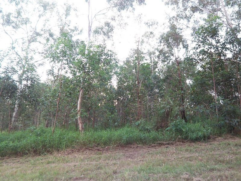 10 Victoria Avenue, Russell Island QLD 4184