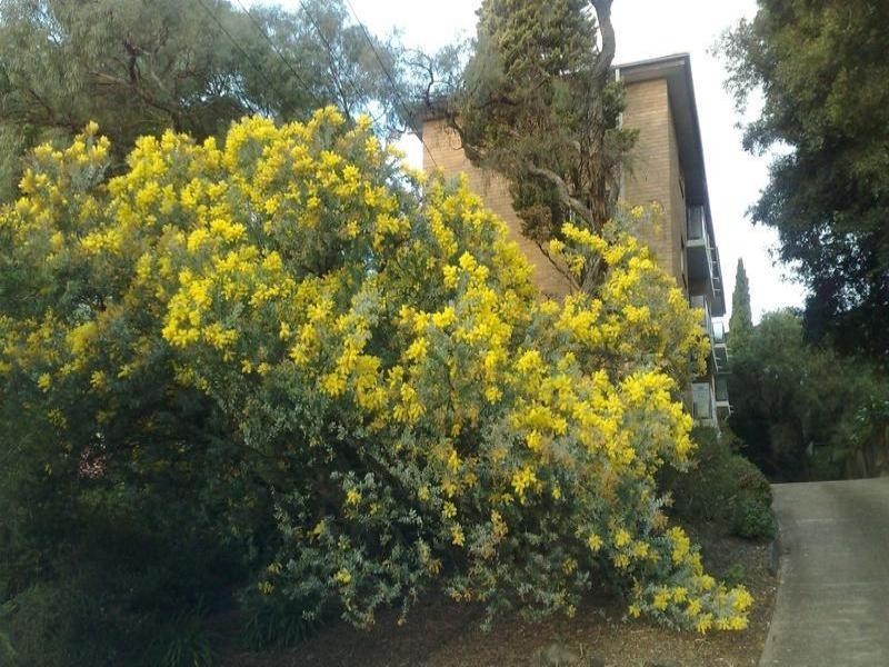 21/42 Belmore Street, Ryde NSW 2112