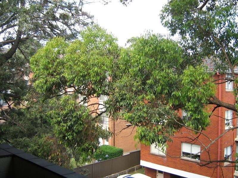 17/7 William Street, Ryde NSW 2112