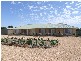 9 Sable Grove, Two Wells SA 5501