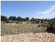 9 Sable Grove, Two Wells SA 5501
