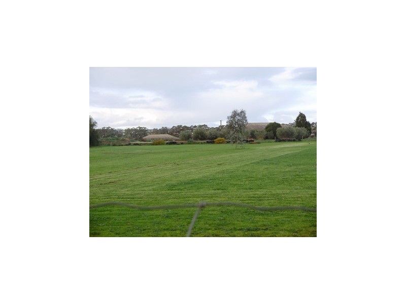 19A McIntyre Road, Macdonald Park SA 5121