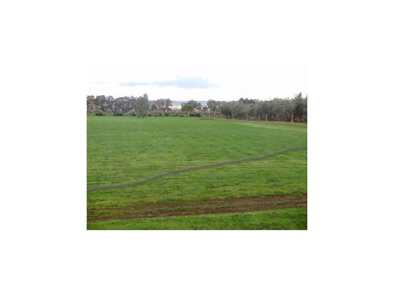 19A McIntyre Road, Macdonald Park SA 5121