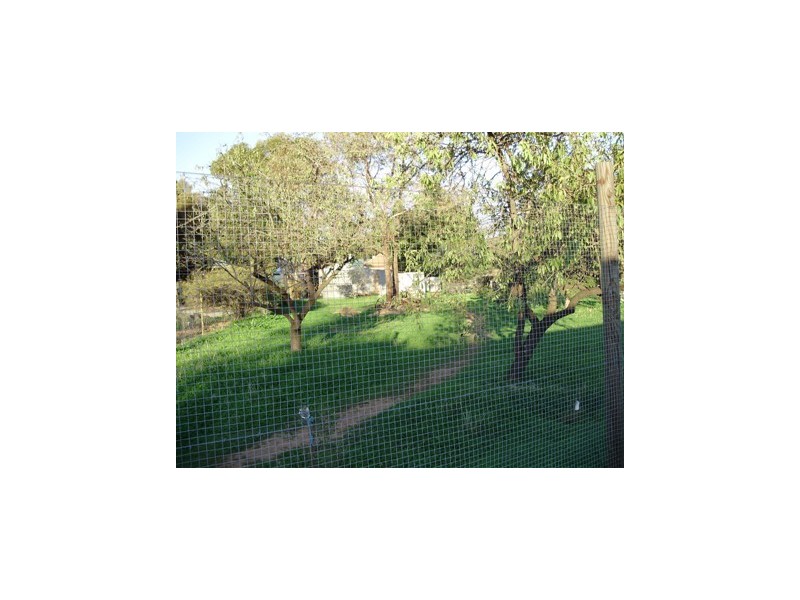 41 Second Street, Gawler South SA 5118