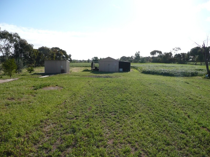 51 Pederick Road, Lewiston SA 5501