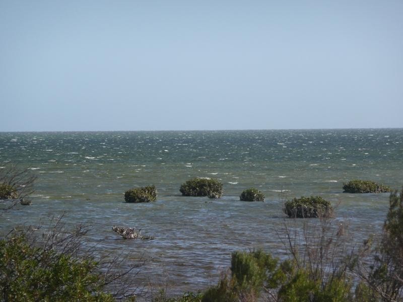 Lot 184 Gull Court, Thompson Beach SA 5501