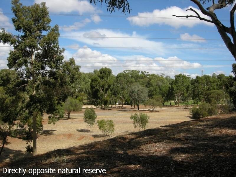 35 Collingbourne Drive, Elizabeth Vale SA 5112