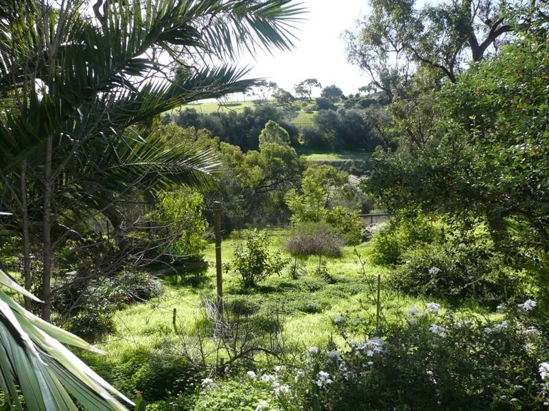 34 Coomurra Drive, Salisbury Heights SA 5109