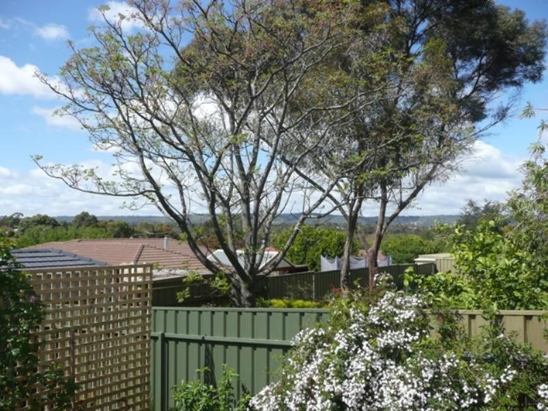 17 Galveston Place, Wynn Vale SA 5127