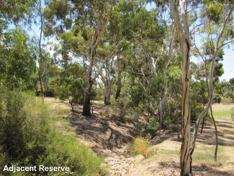 19 Greenbank Road, Athelstone SA 5076