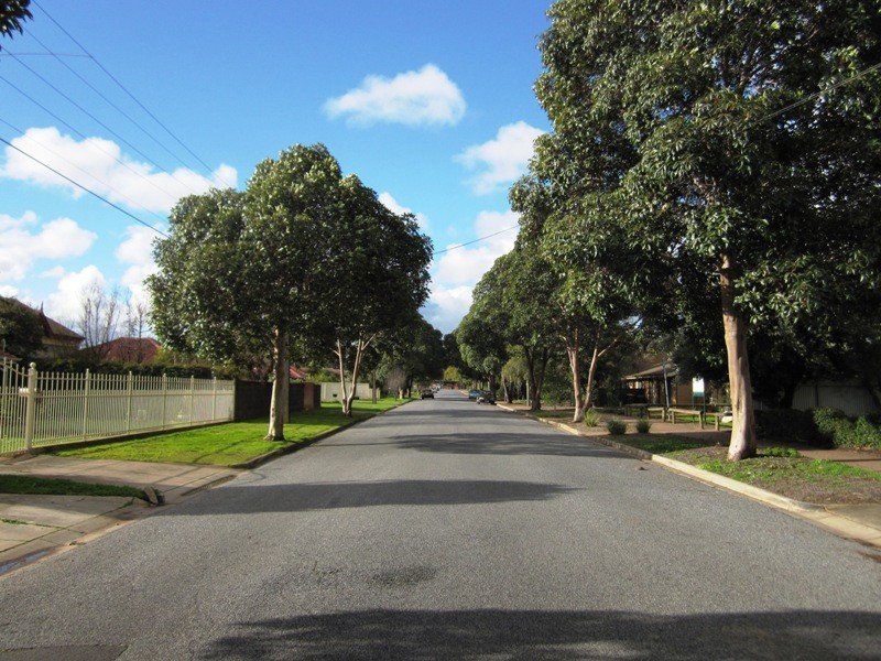 22 Leewood Road, Paradise SA 5075