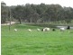 Lot 4 Turner Road, Mount Torrens SA 5244