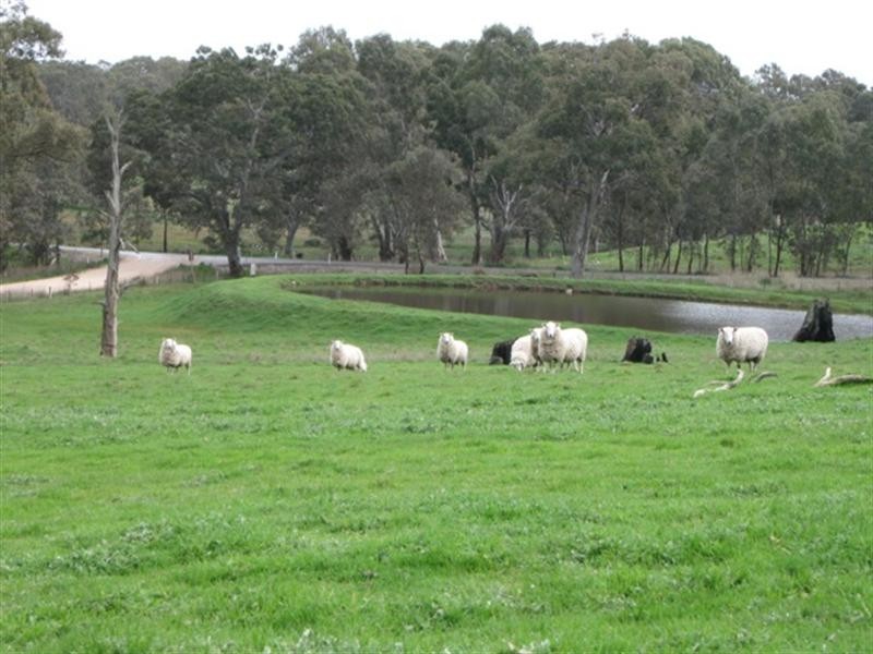 Lot 4 Turner Road, Mount Torrens SA 5244