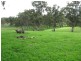 Lot 4 Turner Road, Mount Torrens SA 5244