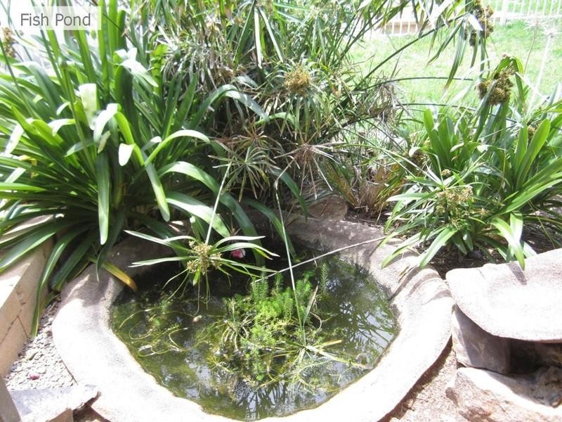 5 Phillip Avenue, Morphett Vale SA 5162