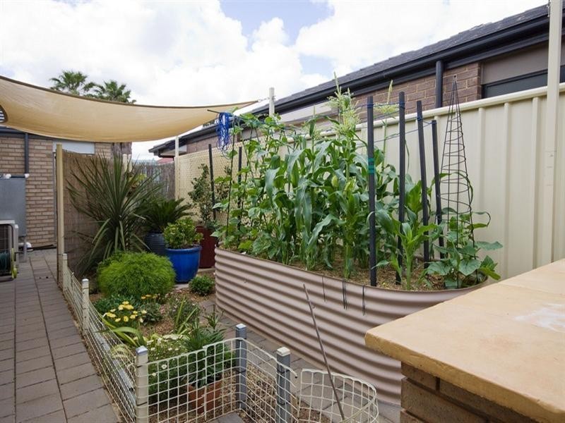 23 Graeber Road, Smithfield SA 5114