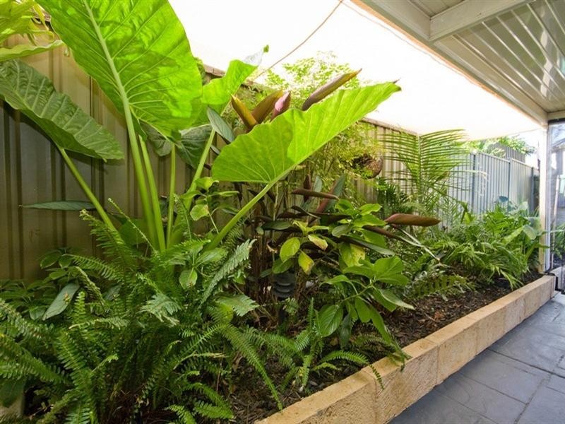 16 St Ives Court, Blakeview SA 5114