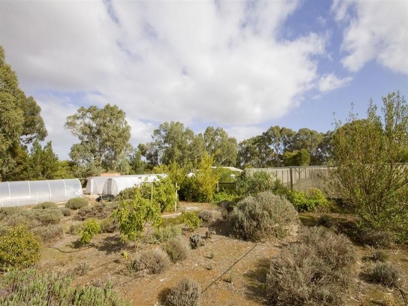 Lot 156 Lyndon Road, Macdonald Park SA 5121