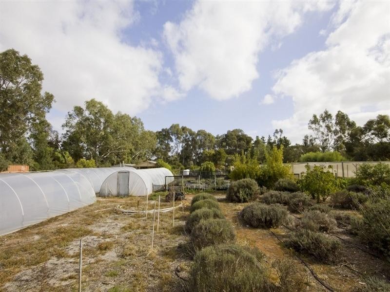 Lot 156 Lyndon Road, Macdonald Park SA 5121