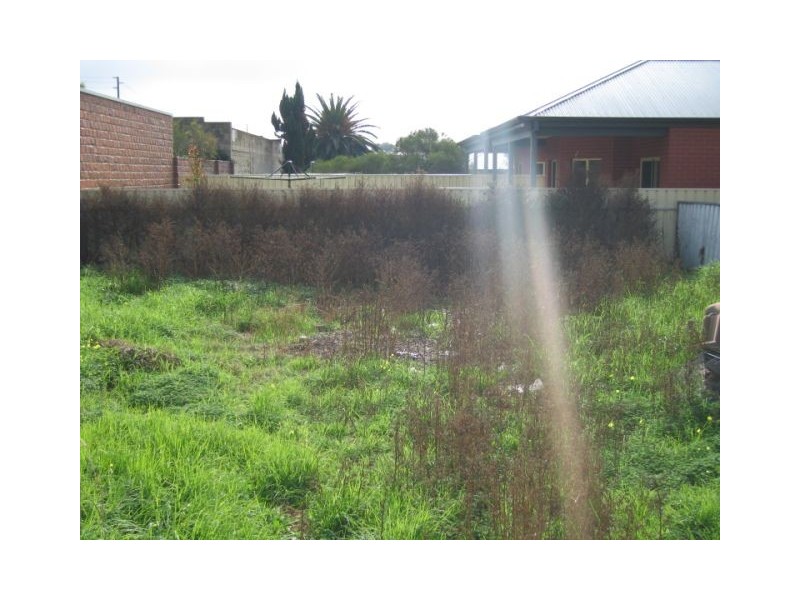 8 Mendes Street, Prospect SA 5082