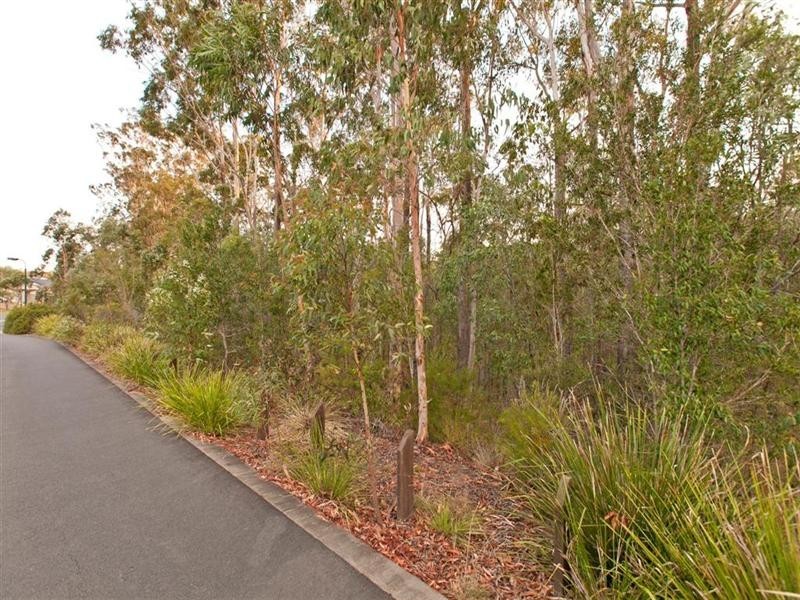 51 Vineyard Drive, Mount Cotton QLD 4165