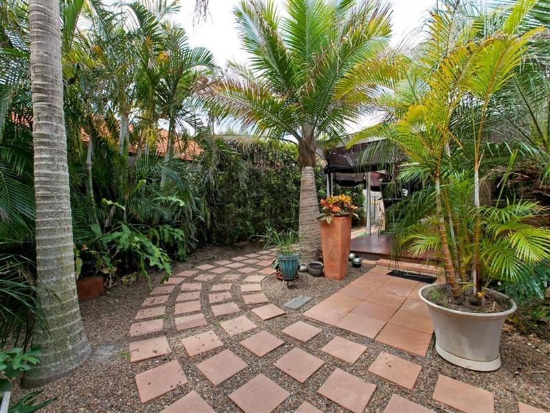 96 Caladium Street, Wakerley QLD 4154