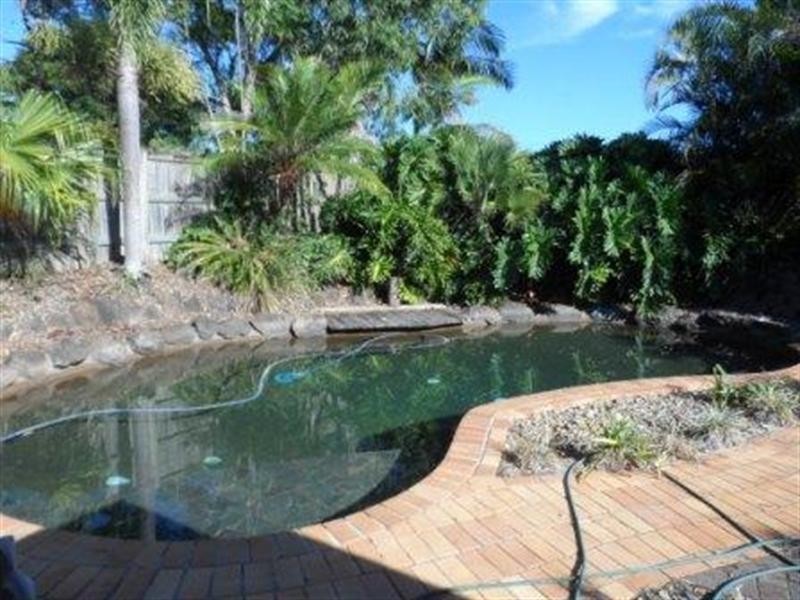 35 WREN Street, Birkdale QLD 4159