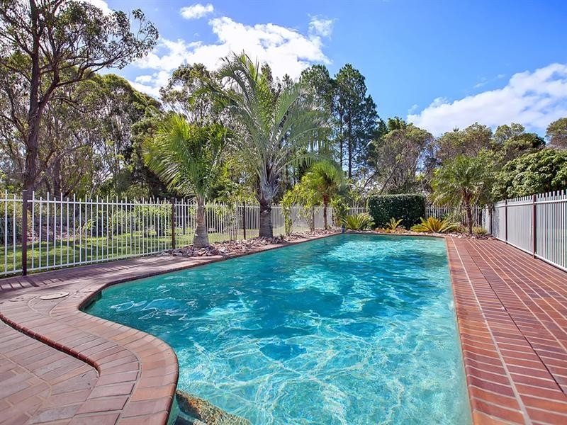 31 Whitehall Avenue, Birkdale QLD 4159