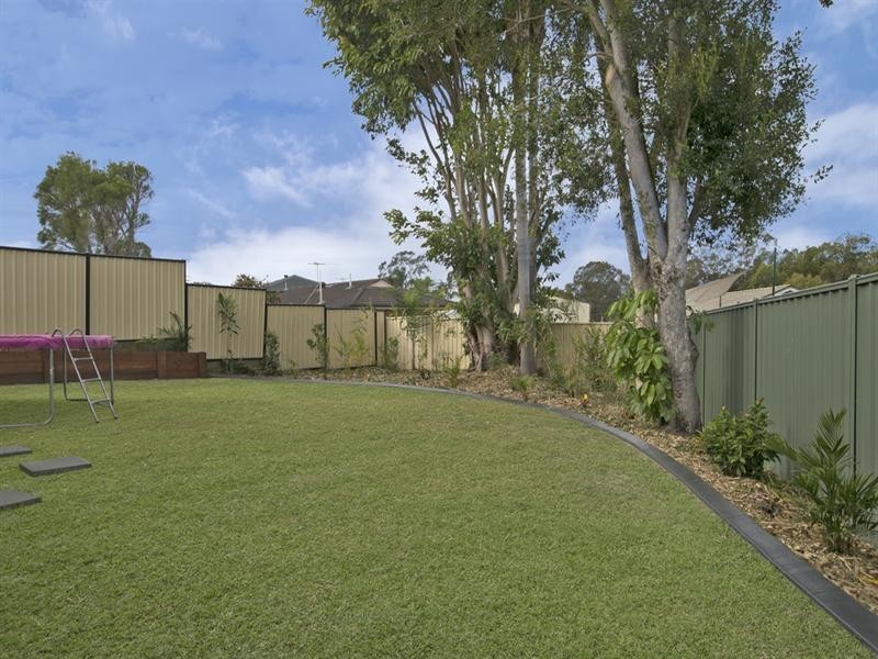 3 Spoonbill Street, Birkdale QLD 4159