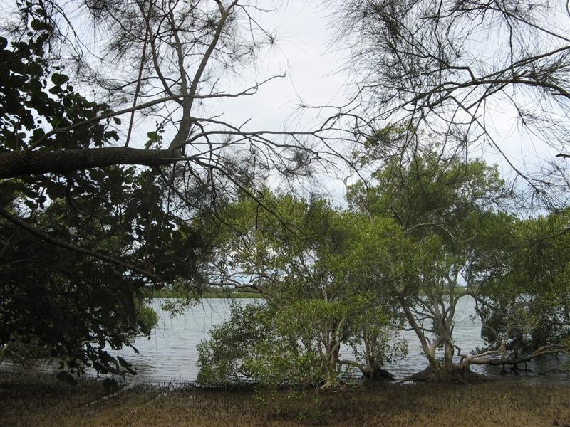 Macleay Island QLD 4184