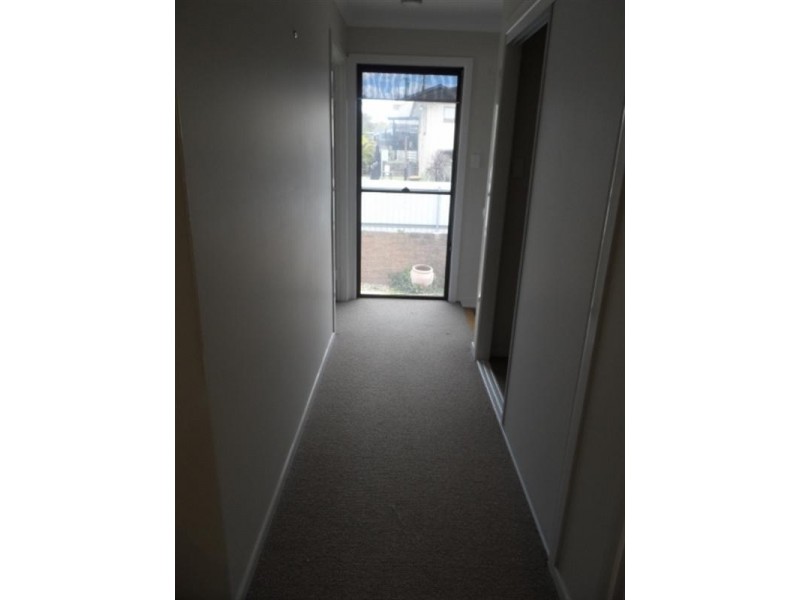 5 DOVE Street, Birkdale QLD 4159