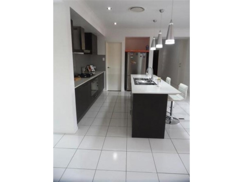 56 HEATHERDALE Drive, Upper Coomera QLD 4209