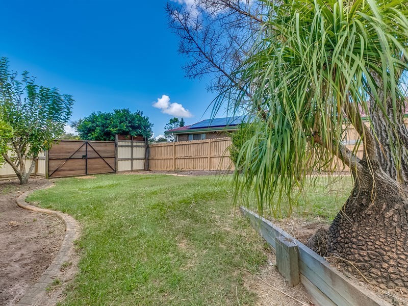 15 Palana Drive, Alexandra Hills QLD 4161