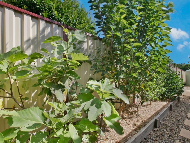 9 Cochrane Street, Alexandra Hills QLD 4161