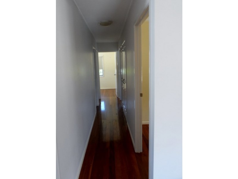 83 CAVELL Street, Birkdale QLD 4159