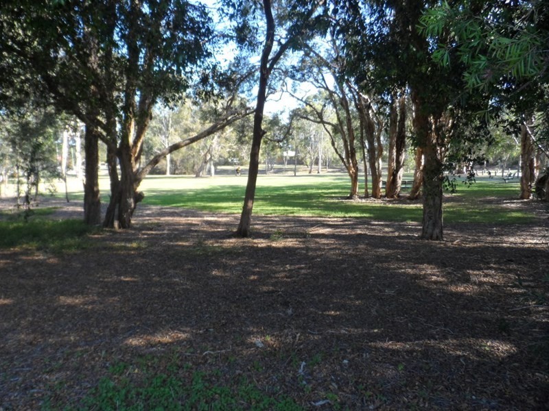 13 MICHELLE Court, Cleveland QLD 4163