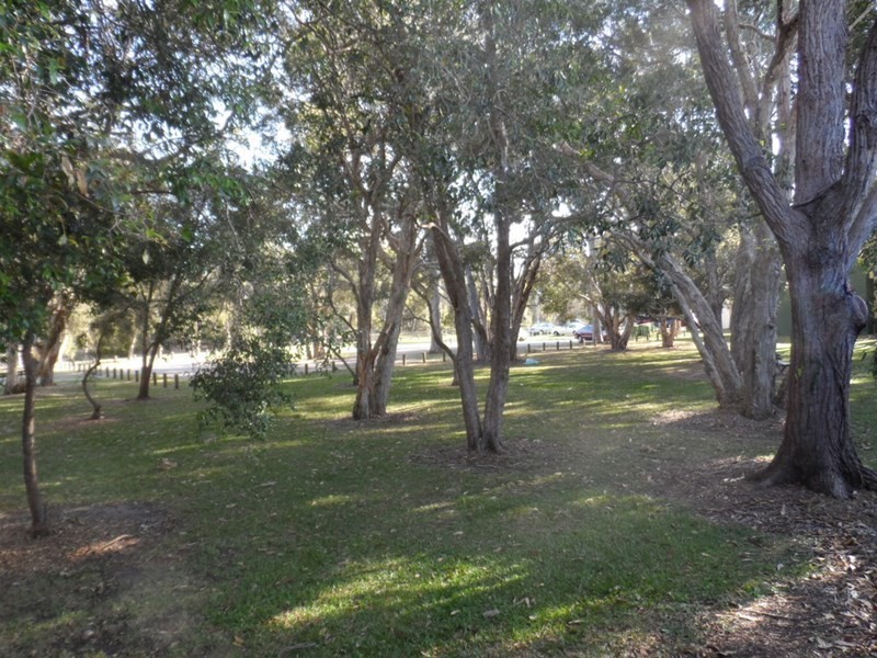 12 MICHELLE Court, Cleveland QLD 4163