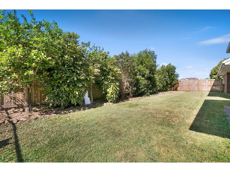 16 Weber Court, Victoria Point QLD 4165