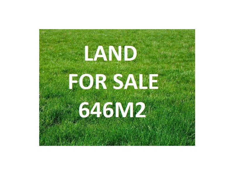 69 Collingwood Road, Birkdale QLD 4159