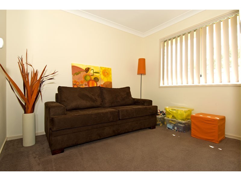 3 Elaine Place, Birkdale QLD 4159