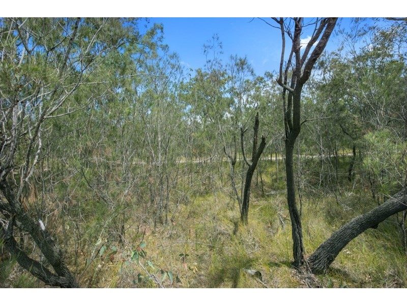 13 McMillan Road, Alexandra Hills QLD 4161