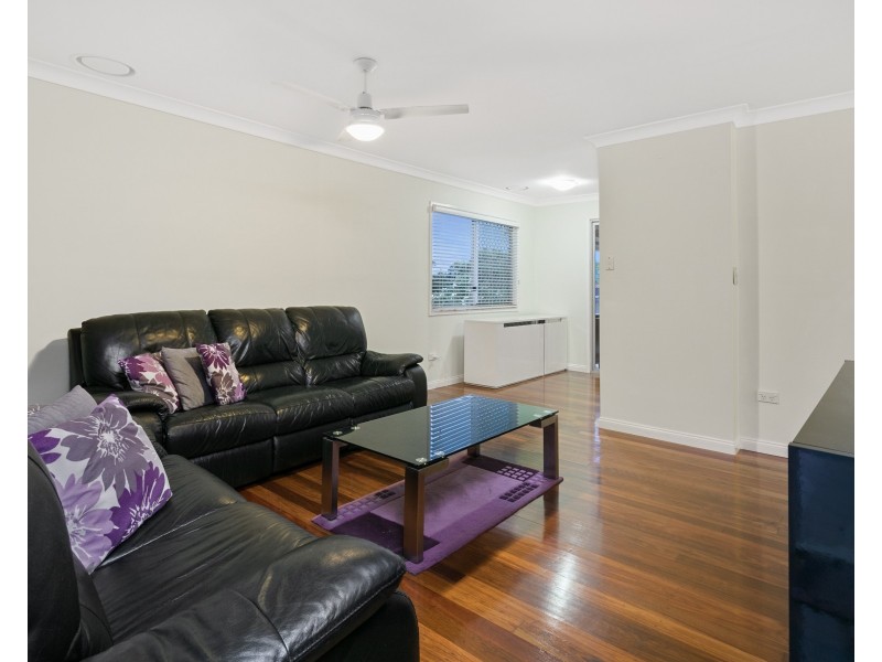 3 Parakeet Street, Birkdale QLD 4159