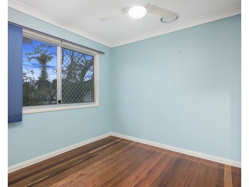 3 Parakeet Street, Birkdale QLD 4159