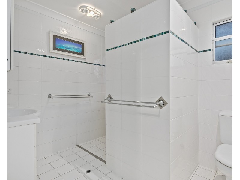 3 Parakeet Street, Birkdale QLD 4159